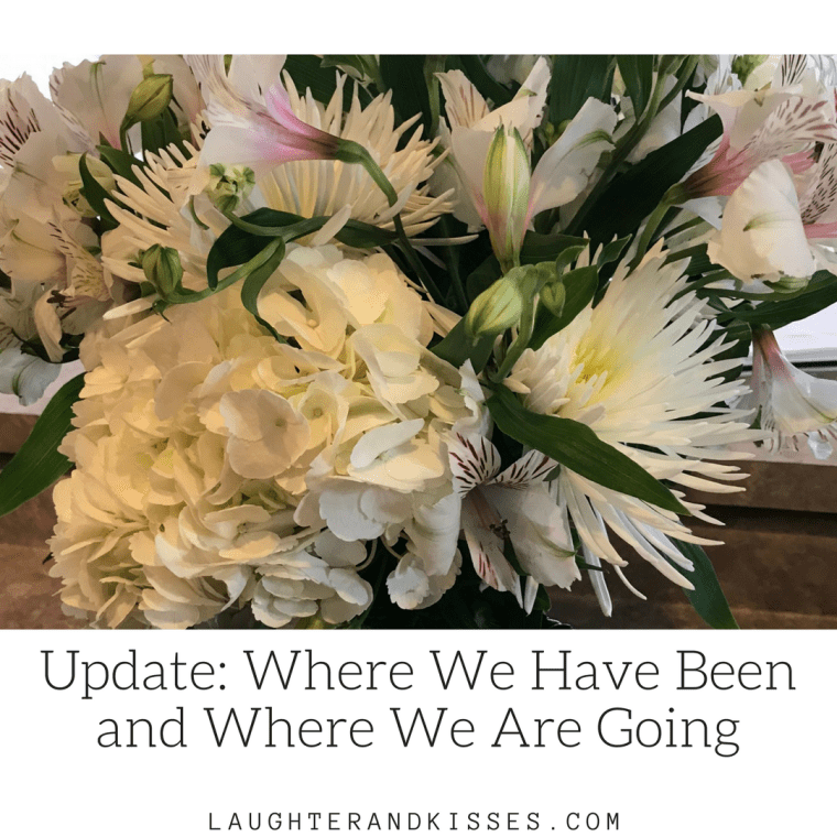 Update_ Where We Have Been and Where We Are Going