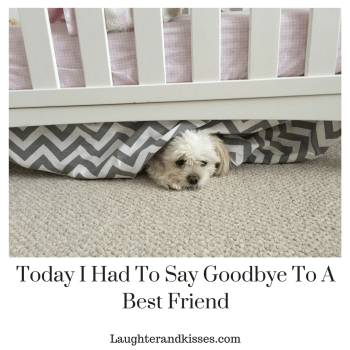 Today I Had To Say Goodbye To A Best Friend3