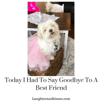 Today I Had To Say Goodbye To A Best Friend4