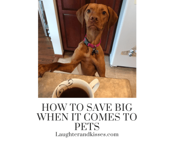 How to save big when it comes to pets2