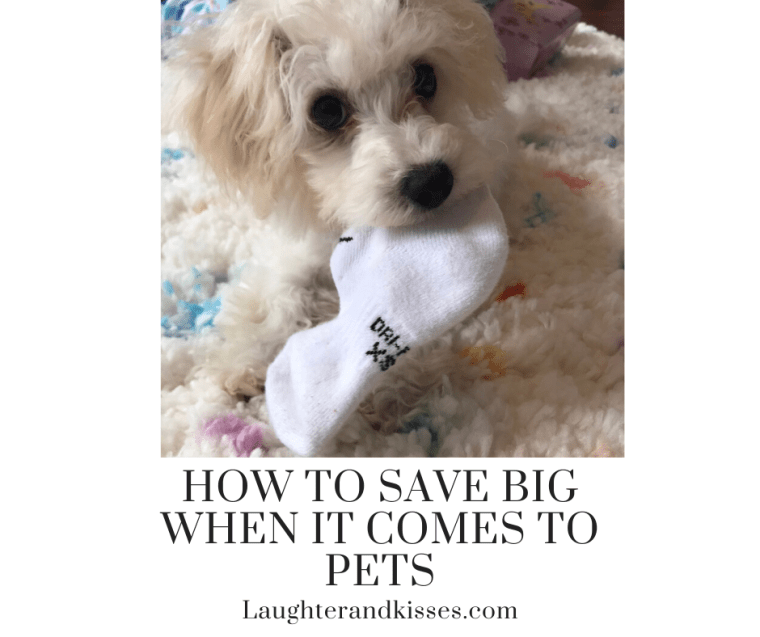 How to save big when it comes to pets6