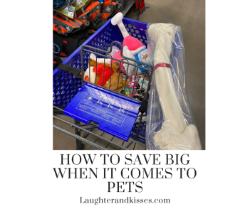 How to save big when it comes to pets8